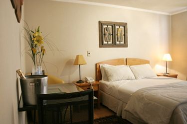 Hotel Bellas Artes Suites:  SANTIAGO DE CHILE