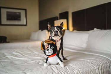 Santiago Marriott Hotel :  SANTIAGO DE CHILE