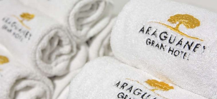 Hotel Eurostars Araguaney:  SANTIAGO DE COMPOSTELA