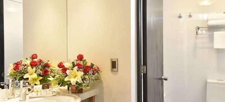 Hotel Eurotel Providencia Santiago Del Cile: Foto 