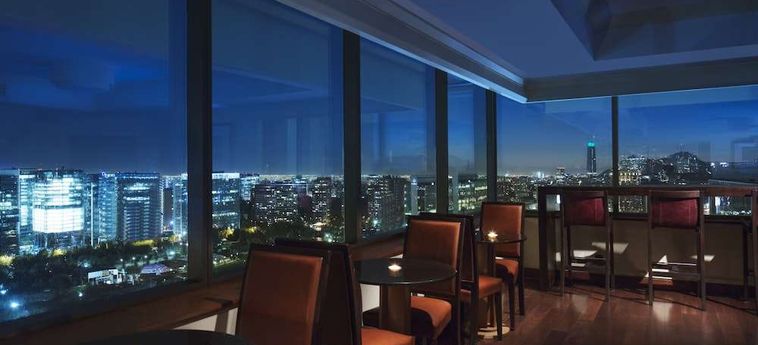 Santiago Marriott Hotel  Santiago Del Cile: Foto 