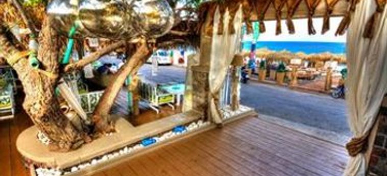 Jojo Beach Hotel & Bar:  SANTORINI