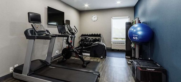 Hotel Superior Gulf Coast Holiday Homes Port Charlotte Sarasota (Fl): Photo 