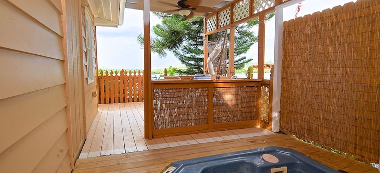 Hotel Turtle Beach Resort And Inn Sarasota (Fl): Foto 