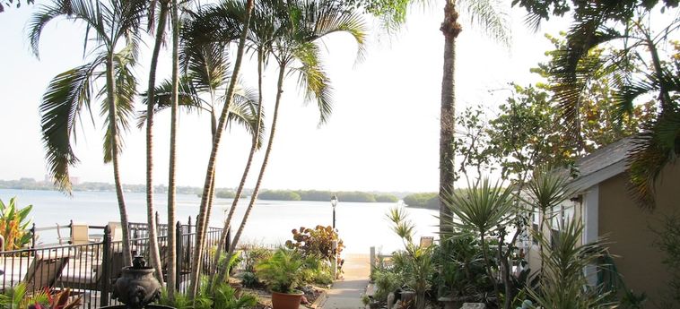 Hotel Turtle Beach Resort And Inn Sarasota (Fl): Foto 