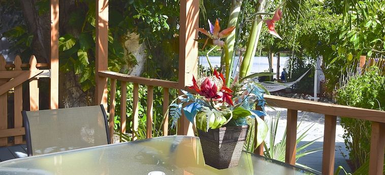 Hotel Turtle Beach Resort And Inn Sarasota (Fl): Foto 