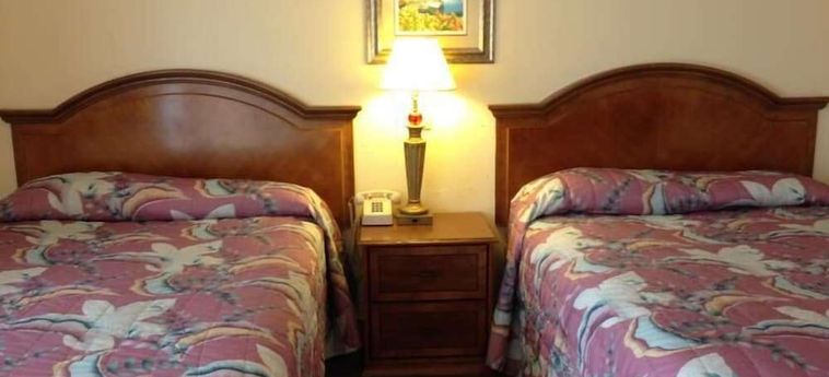 Hotel Cadillac Motel Sarasota (Fl): Photo 