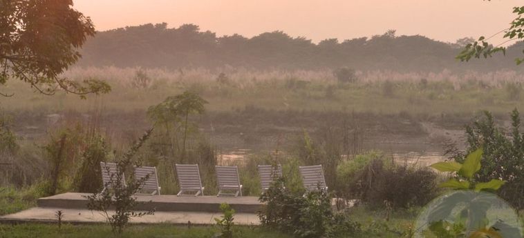 Hotel River View Jungle Camp:  SAURAHA