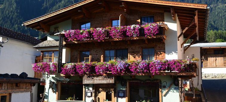 Hotel Resort Alt-Otztal:  SAUTENS-OTZTAL