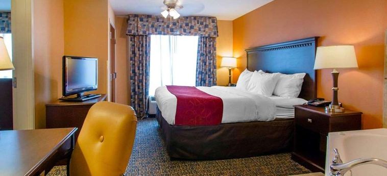 Hotel Comfort Suites Gateway Savannah (Ga): Foto 