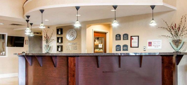 Hotel Comfort Suites Gateway Savannah (Ga): Foto 