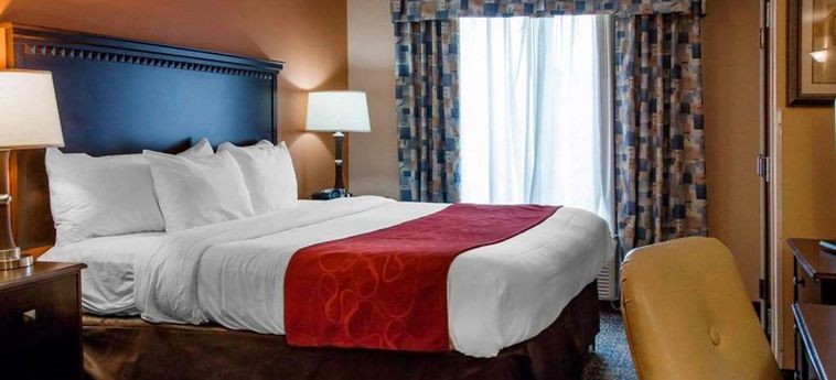 Hotel Comfort Suites Gateway Savannah (Ga): Foto 