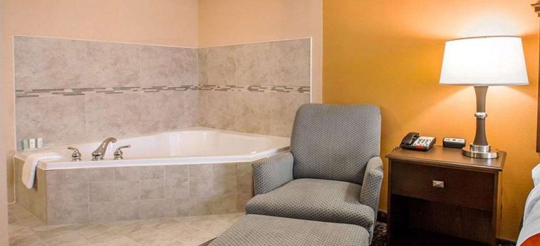Hotel Comfort Suites Gateway Savannah (Ga): Foto 