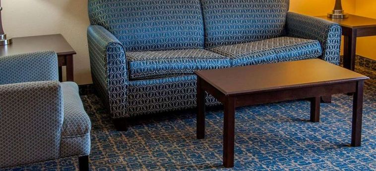 Hotel Comfort Suites Gateway Savannah (Ga): Foto 