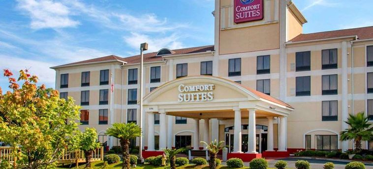 Hotel Comfort Suites Gateway Savannah (Ga): Foto 