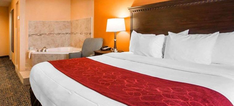 Hotel Comfort Suites Gateway Savannah (Ga) : Photo 