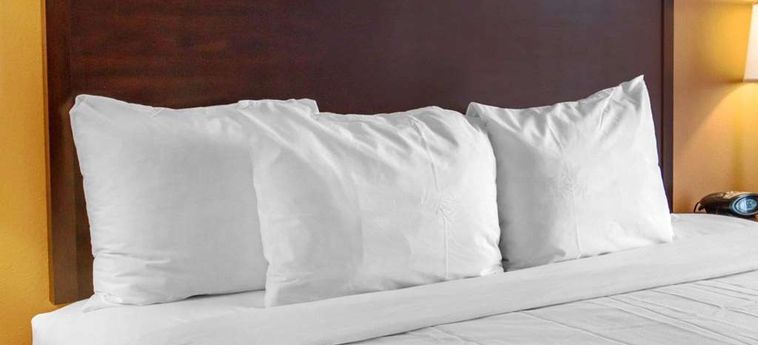 Hotel Comfort Suites Gateway Savannah (Ga) : Photo 