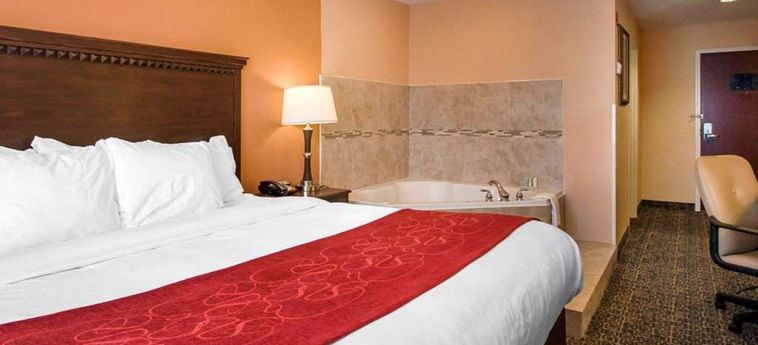 Hotel Comfort Suites Gateway Savannah (Ga) : Photo 