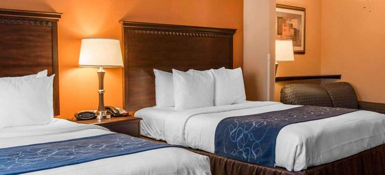 Hotel Comfort Suites Gateway:  SAVANNAH (GA)