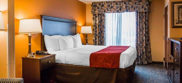 Hotel Comfort Suites Gateway:  SAVANNAH (GA)