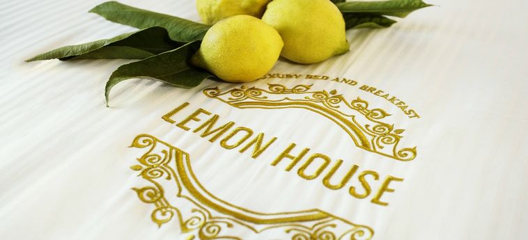 Lemon House:  SAVOCA