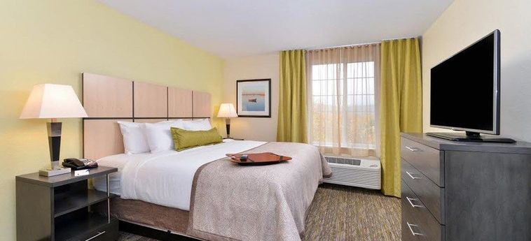 Hotel Candlewood Suites Sayre:  SAYRE (PA)