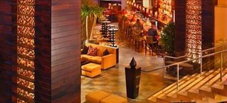 Hotel Hyatt Regency Scottsdale Resort And Spa At Gainey Ranch:  SCOTTSDALE (AZ)