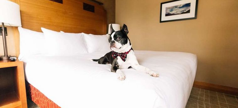 Hotel Grand Hyatt Seattle Seattle (Wa) : Photo 