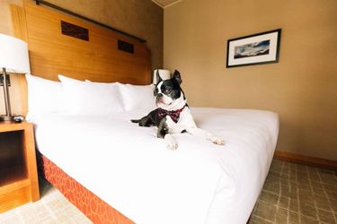 Hotel Grand Hyatt Seattle Seattle (Wa): Photo 