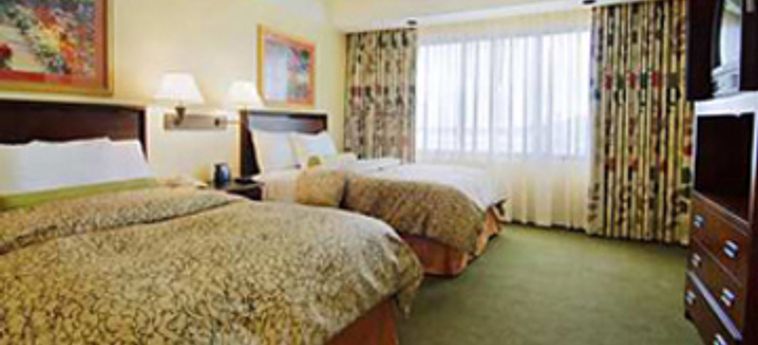 Hotel Embassy Suites Secaucus - Meadowlands:  SECAUCUS (NJ)
