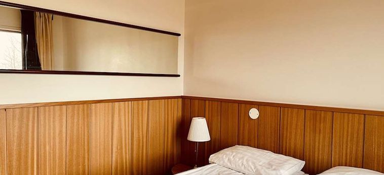 Borealis Hotel (21Km From Selfoss):  SELFOSS