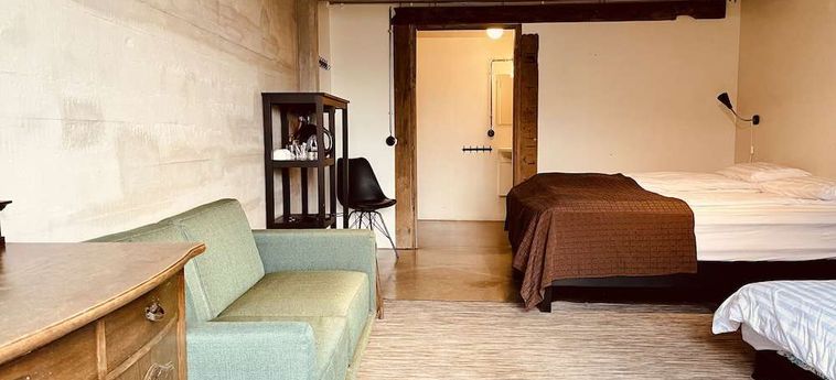 Borealis Hotel (21Km From Selfoss):  SELFOSS