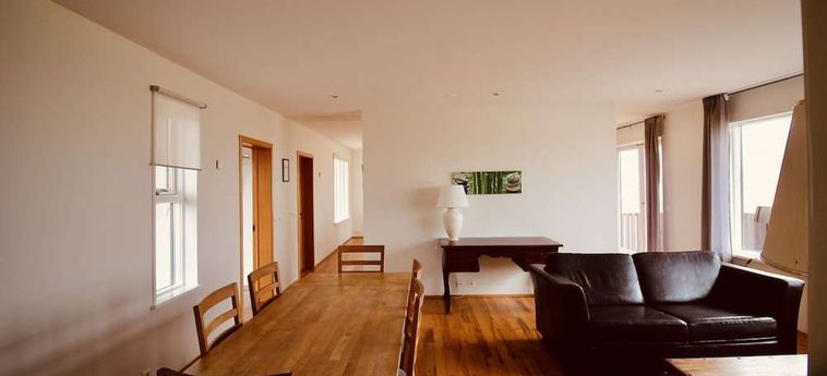 Borealis Hotel (21Km From Selfoss):  SELFOSS