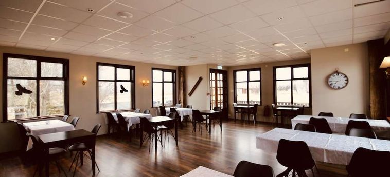 Borealis Hotel (21Km From Selfoss) Selfoss: Foto 