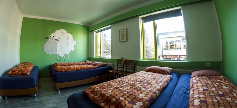 Selfoss Hi Hostel Selfoss: Foto 