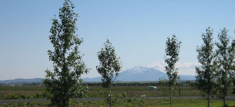 South Central Guesthouse Selfoss: Foto 