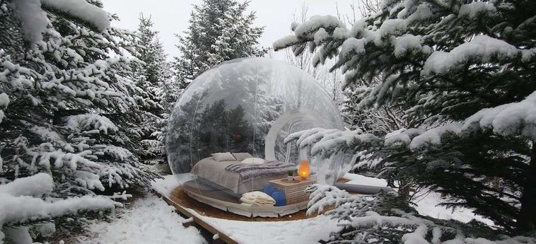 Buubble Hotel-Ölvisholt Selfoss: Foto 