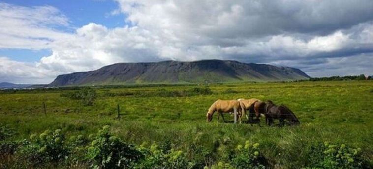 Hotel Gesthús Selfoss Selfoss: Foto 