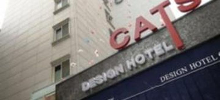 Cats Hotel:  SEOUL