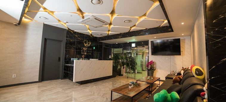 Calistar Hotel:  SEOUL