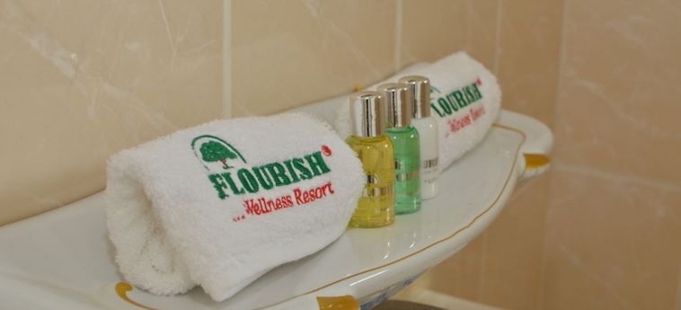 Hotel Flourish Wellness Resort:  SEREKUNDA