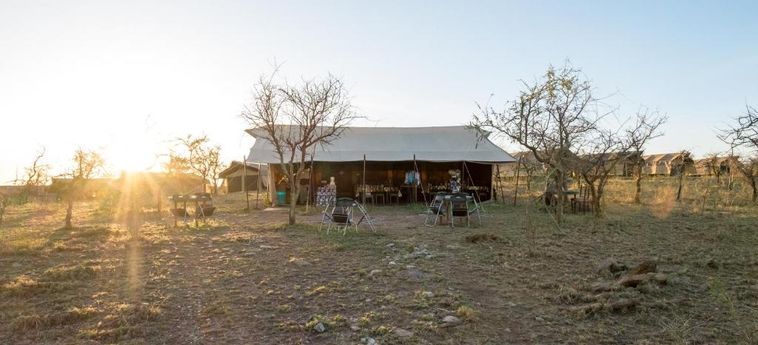 Hotel Serengeti Wildebeest Camp:  SERENGETI NATIONAL PARK