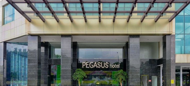Hôtel PEGASUS HOTEL
