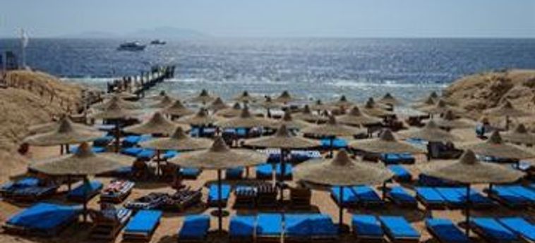 Hotel Amphoras Beach:  SHARM EL SHEIKH