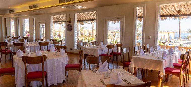 Hotel Club Reef Resort Sharm El Sheikh: Photo 