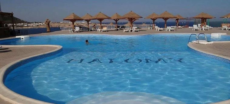 Hotel Halomy Sharm El Sheikh: Foto 
