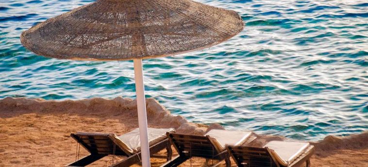 Hotel Halomy:  SHARM EL SHEIKH