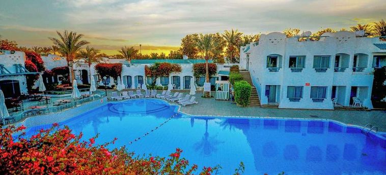 Hotel Falcon Hills Sharm El Sheikh : Photo 