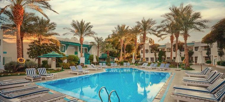 Hotel Falcon Hills Sharm El Sheikh : Photo 
