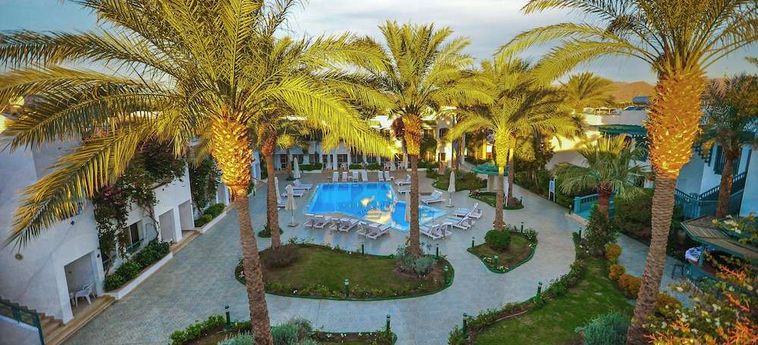 Hotel Falcon Hills Sharm El Sheikh : Photo 
